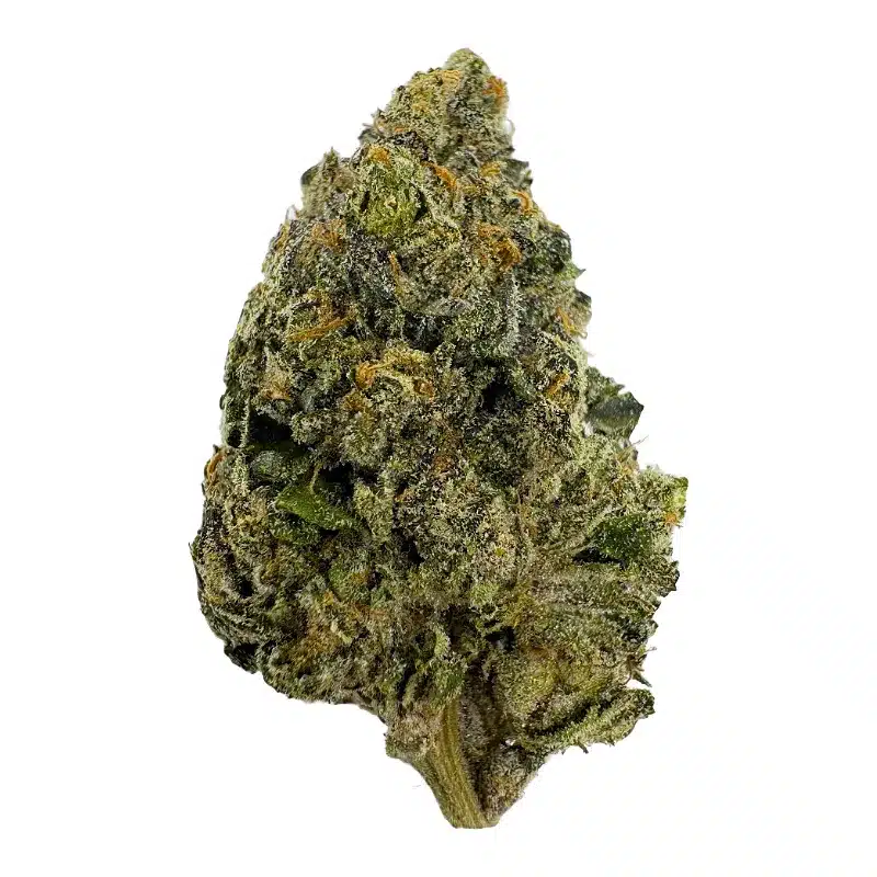 Big Budz