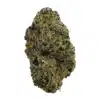 Blue Meteorites - Top Shelf Indoor