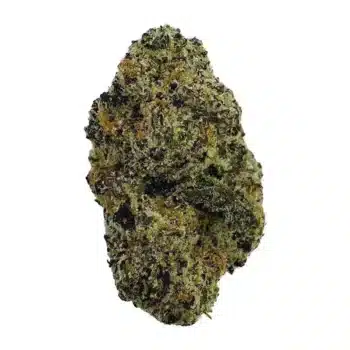 Blue Meteorites - Top Shelf Indoor