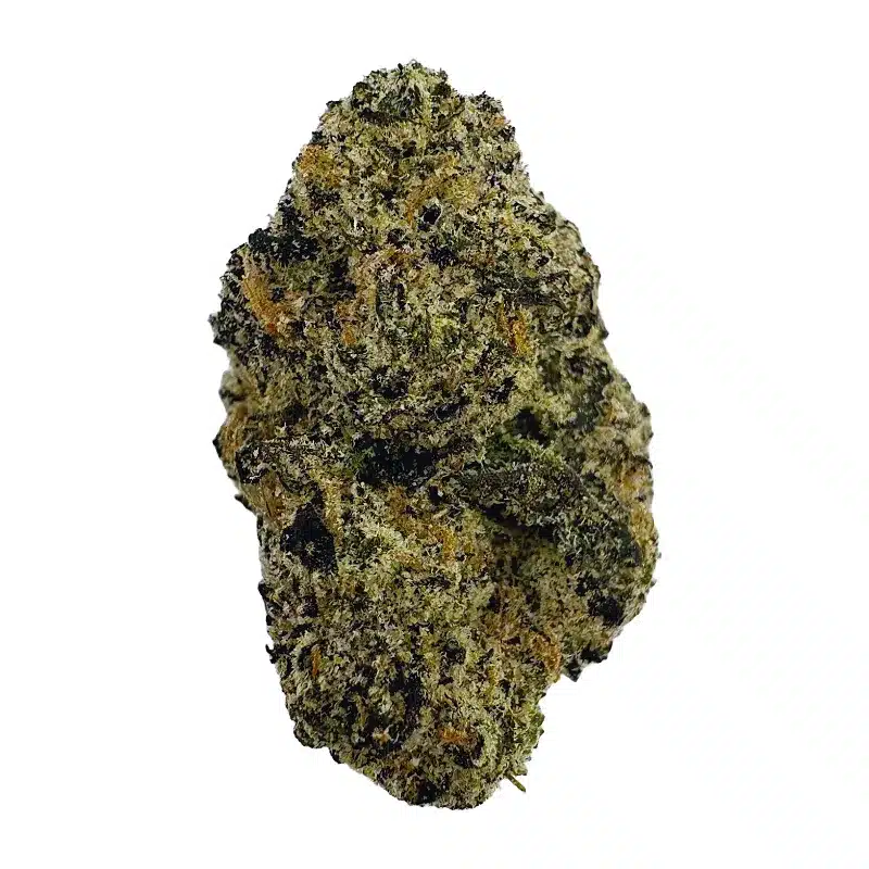 Blue Meteorites - Top Shelf Indoor