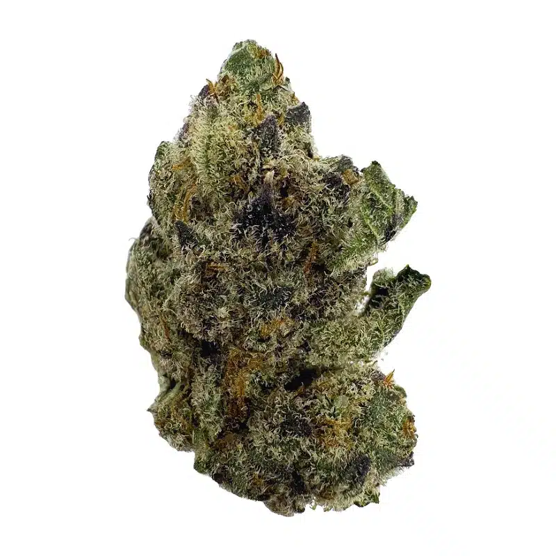 Kept Secret - Top Shelf Indoor