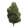 Pablo's Revenge - Top Shelf Indoor