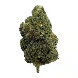 Pablo's Revenge - Top Shelf Indoor