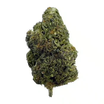 Pablo's Revenge - Top Shelf Indoor