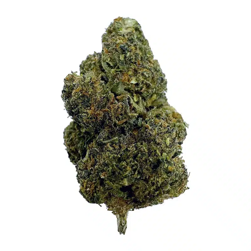 Pablo's Revenge - Top Shelf Indoor
