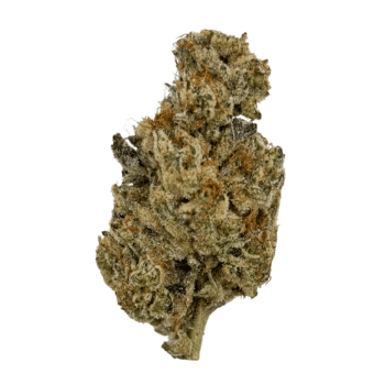 Amnesia Haze
