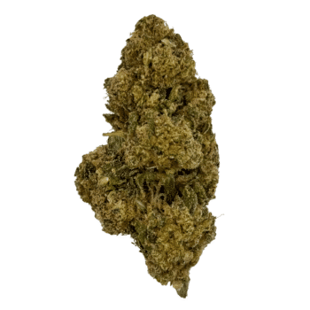 dosidos strain bud greenhouse