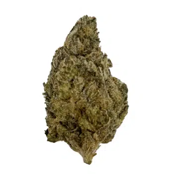 Durban Poison Strain