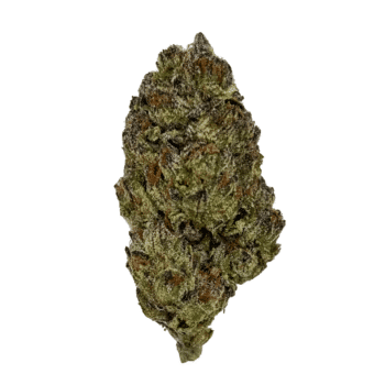 Jack Herer Strain