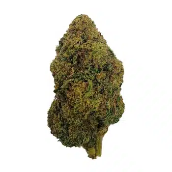 Critical Mass - Top Shelf Indoor