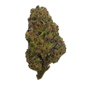 Fruity Loops - Top Shelf Indoor