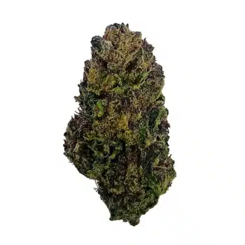 Gas Face - Top Shelf Indoor