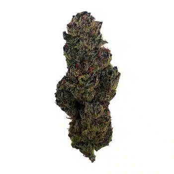 Tropicana Cherry Cookies - Top Shelf Indoor