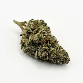 Dirty Girl THCA Flower