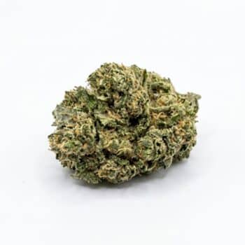 Blue Dream THCA Flower