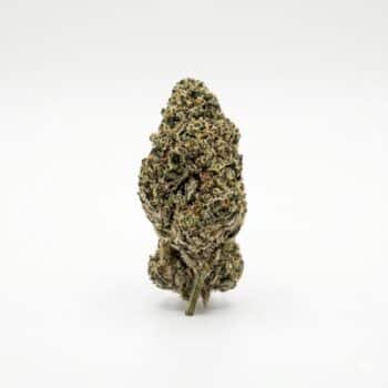 Candy Land Kush