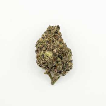 Sour Gas
