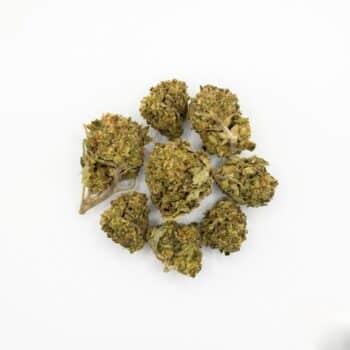 White Truffle