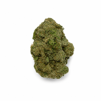 Blueberry Diesel - Premium Indoor Flower