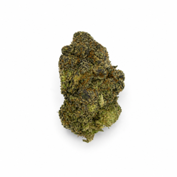 Horchata - Premium Indoor Flower
