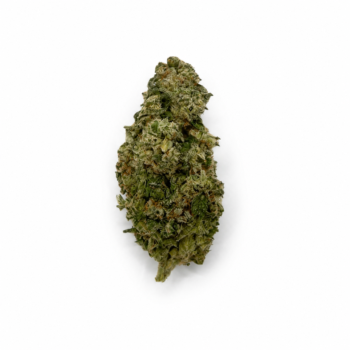 Glitter Bomb - Premium Indoor Flower